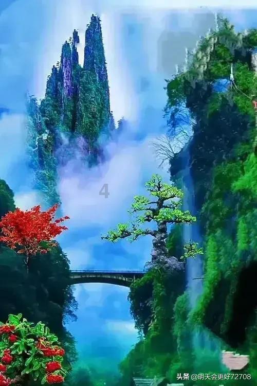 爱丽丝和闺蜜