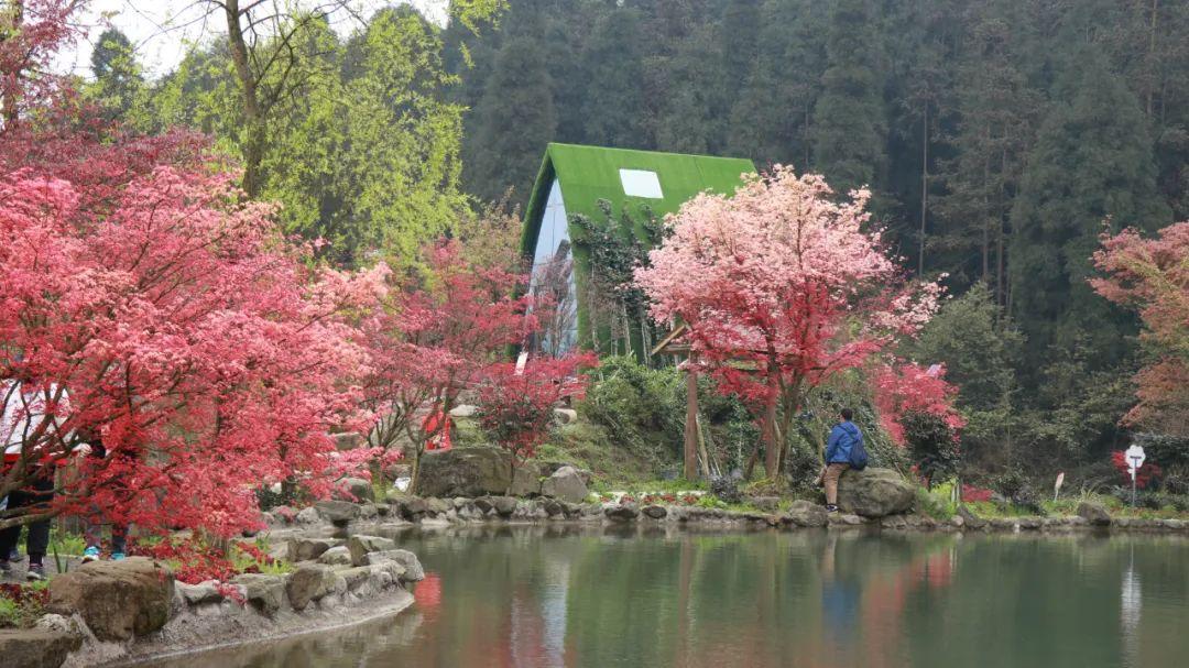 电脑如何下载植物大战僵尸原版游戏画面