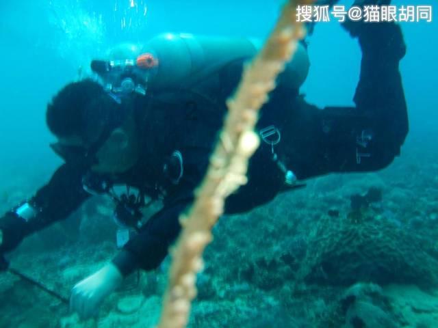 战国无双4-2